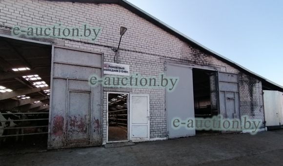 Здание телочника № 2 вблизи д. Добрино (Витебский район), площадью 1917.6 м²