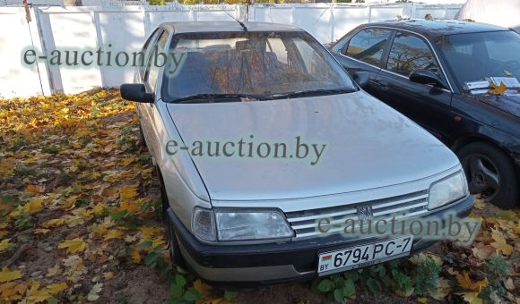 Peugeot 405, 1989