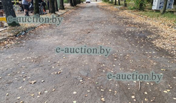 Проезд асфальтированный в г. Быхове, площадью 255.1м²