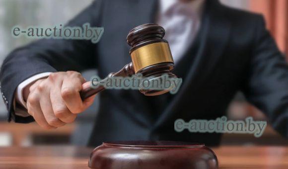 Тестовые торги