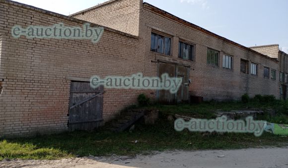 Деревообрабатывающий цех в г. Чаусы, площадью 545.2м²