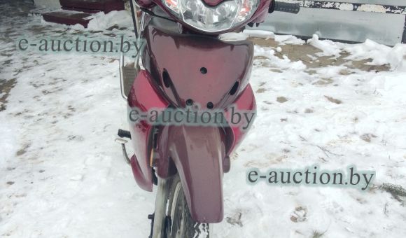 Viper Active ZS50, 2008