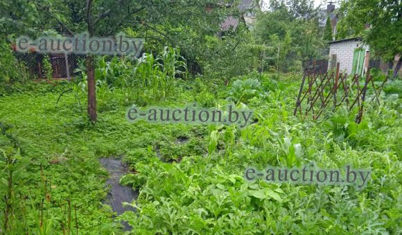 Земельный участок в СТ "Заподгорье" (Минский район), площадью 0.0423 га