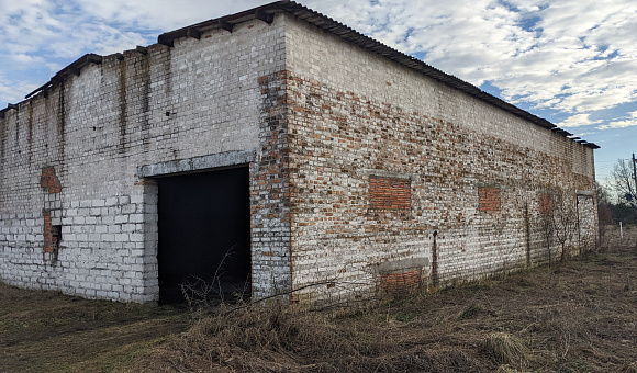 Склад стройматериалов центральный вблизи д. Гута (Брестский район), площадью 292м²