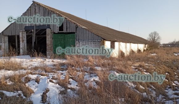 Телятник вблизи д. Сиреневка (Дрогичинский район), площадью 1476.4 м²