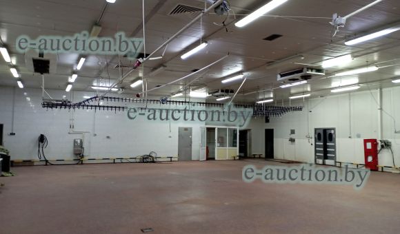 Оборудование для убоя, переработки и упаковки птицы