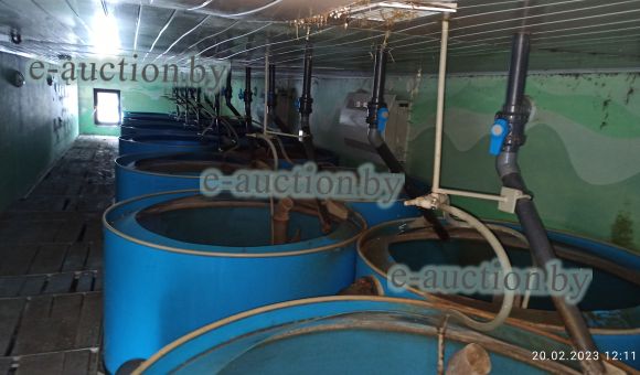 Комплекс имущества