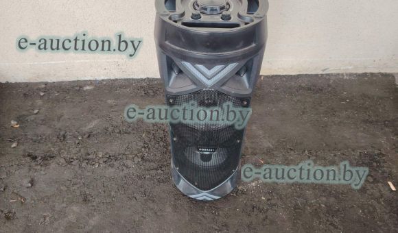 Беспроводная bluetooth колонка ZQS-6201