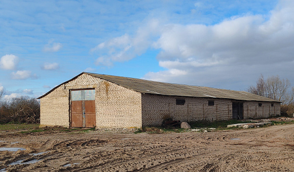 Здание зернохранилища вблизи д. Комаровка (Кричевский район) площадью 463.8м²