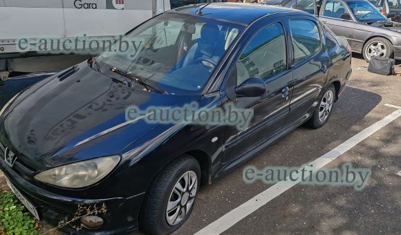 Peugeot 206, 2007