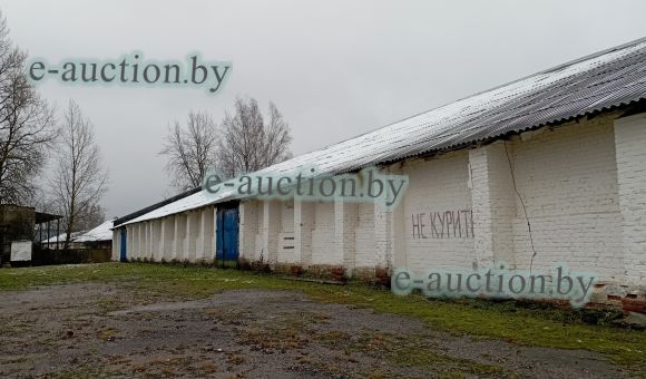 Склад в г. Городке, площадью 1307 м²