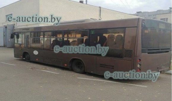Автобус МАЗ 226063, 2020