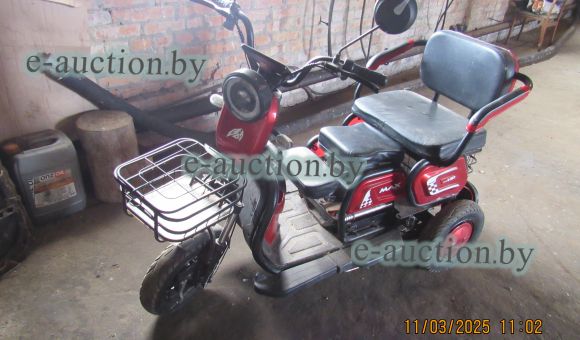 Трицикл  MAX POWER GYM-4