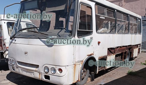 Радимич А09212