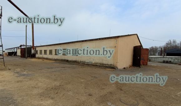Лесопильный цех вблизи д. Тепливоды (Барановичский район), площадью 960.8м²
