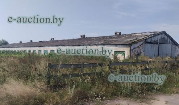 Здание сарая вблизи д. Чеботовичи (Буда-Кошелевский район), площадью 1633.1м²