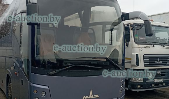 МАЗ 251050, 2009