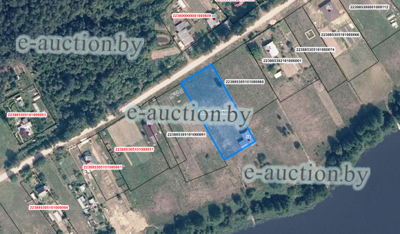 Земельный участок в д. Скоброе (Полоцкий район), площадью 0.2500 га