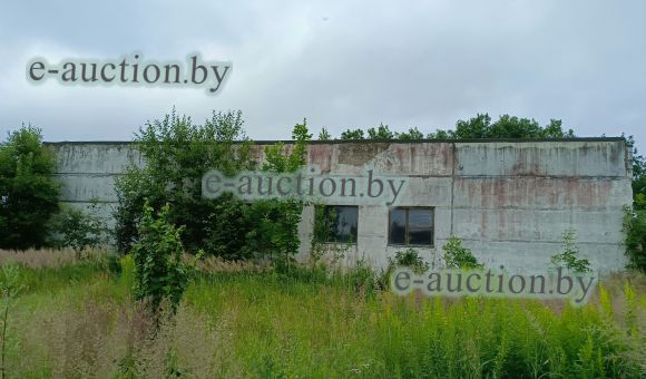 Здание производственного цеха в аг. Лопатичи (Славгородский район) площадью 213.6м²