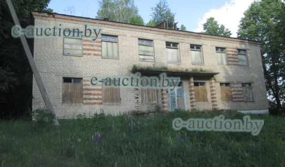 Лот № 6. Капитальное строение (инв. № 724/С-6978), расположенное по адресу: Могилевская обл., Чаусский район, Радомльский сельсовет, дер. Желивье