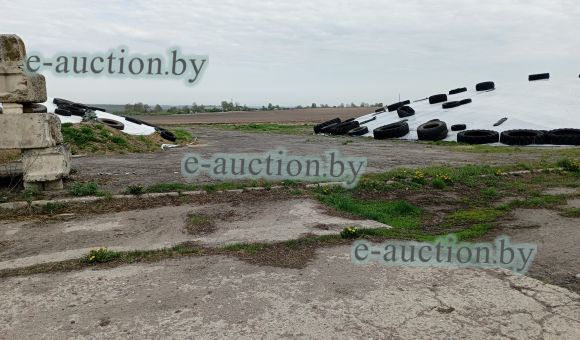 Стоянка вблизи д. Зельвянка (Зельвенский район), площадью 4278.8м²