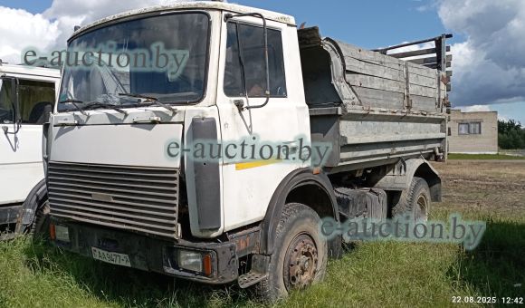 МАЗ 555102-220, 2007