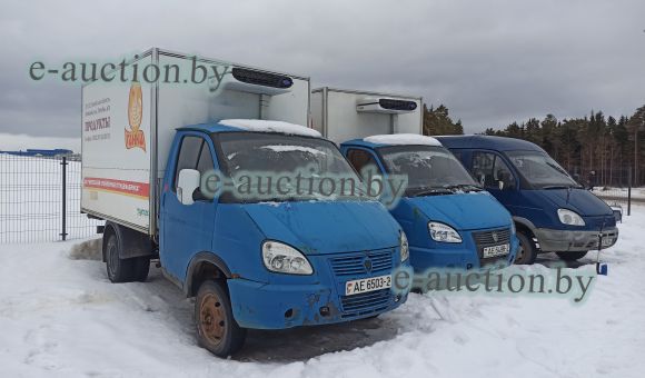 ГАЗ 3302 KUPAVA, 2011