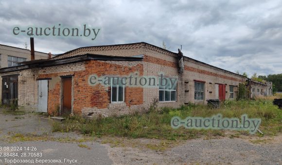 Лесоцех в гп Глуск, площадью 1166м²