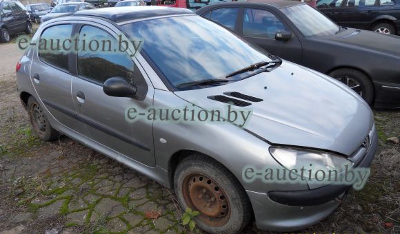 Peugeot 206, 2002