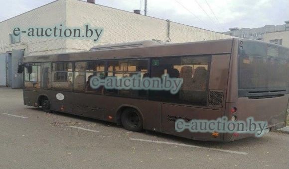 Автобус МАЗ 226063, 2020