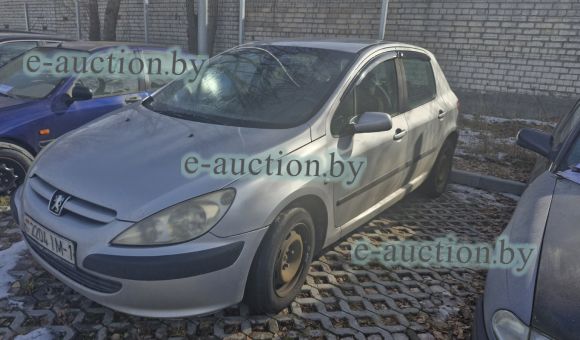 Peugeot 307, 2001