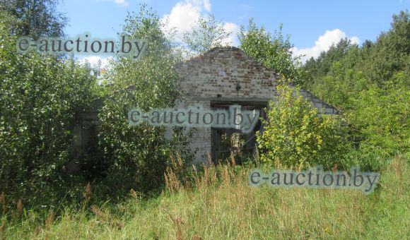 Свинарник в д. Зольки (Вилейский район), площадью, площадью 851.5 м²