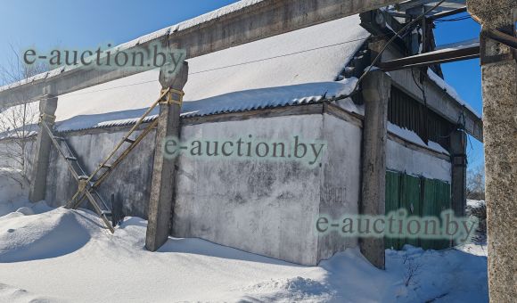 Цех №2 в д. Гронов (Чериковский район) площадью 164м²