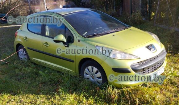 Peugeot 207, 2006
