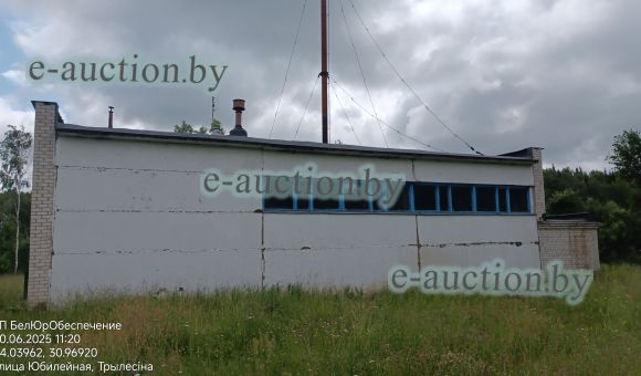 Здание котельной психбольницы в аг. Трилесино (Дрибинский район) площадью 174.4м²