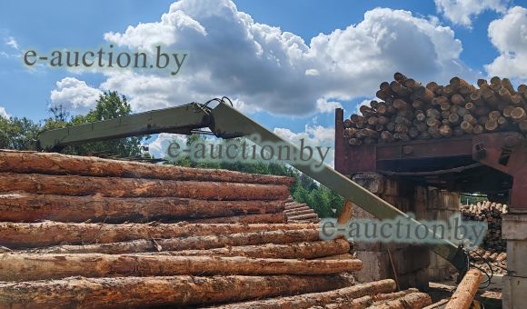 Установка для сортирования и раскряжевывания бревен Baljer & Zembord