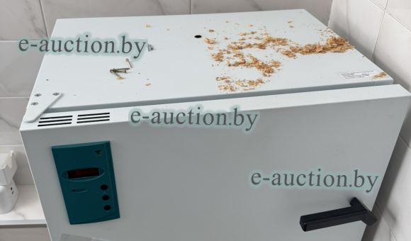 Шкаф сушильный ШС-80-01 СПУ