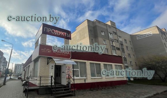 Помещение многофункциональное в п. Энергетиков (Дзержинский район), площадью 664.6 м²