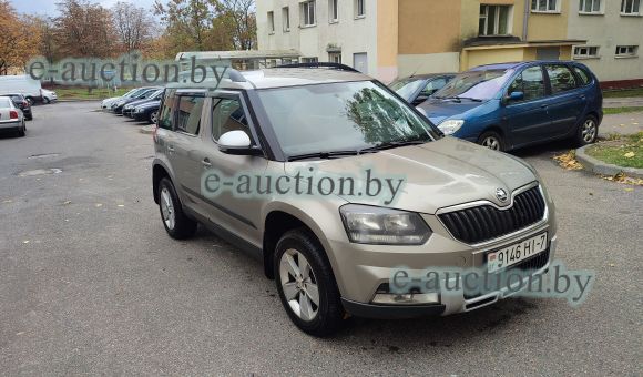 Skoda Yeti I, 2013