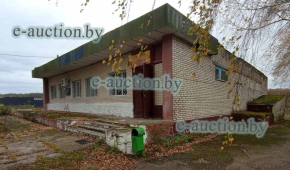 Здание магазина в д. Борисковичи (Мозырский район), площадью 377.5м²