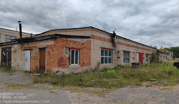 Лесоцех в гп Глуск, площадью 1166м²