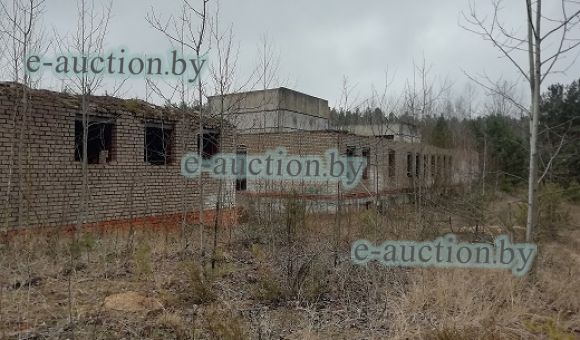 Незавершенное незаконсервированное капитальное строение (Хозкорпус. Гараж, прачечная, дез. отделение районной больницы на 300 коек)