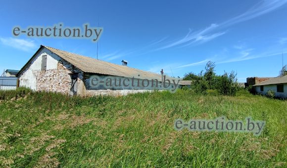 Свинарник-маточник в д. Мацкевичи (Копыльский район), площадью 953 м²