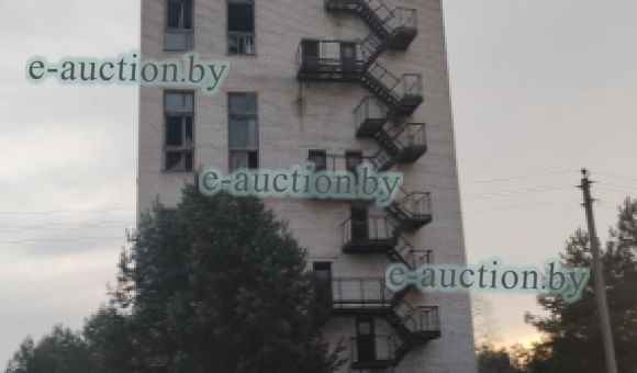 Незавершенное законсервированное капитальное строение в аг. Грудиновка (Быховский район) площадью 1197.1м²