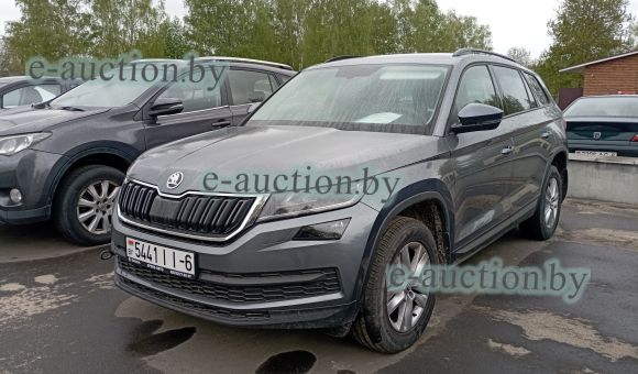 Skoda Kodiaq, 2019