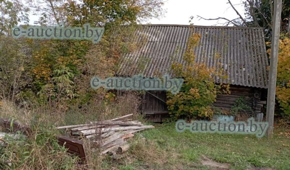 Сарай бревенчатый в д. Большой Рожан (Солигорский район), площадью 81.9 м²