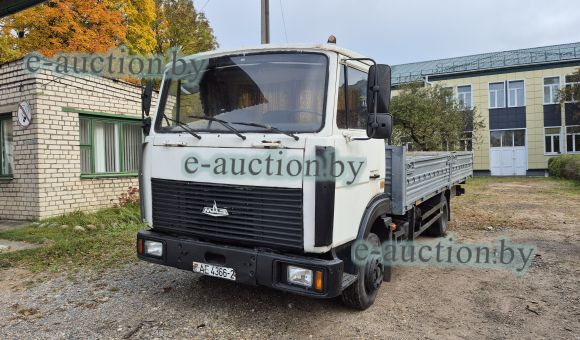 МАЗ 437043-328, 2010