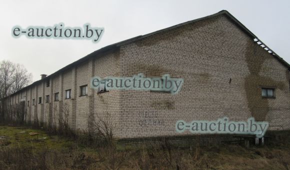 Склад семенной в д. Янушковичи (Логойский район), площадью 790.4 м²