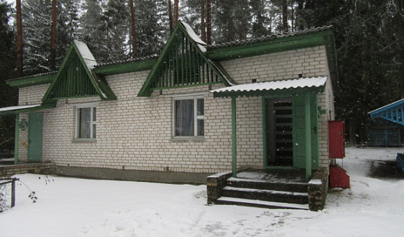 Летний домик №3 около д. Коровчено (Быховский район) площадью 68м²