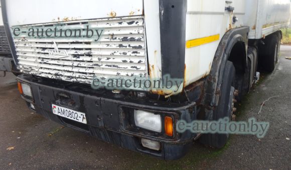 МАЗ 630308 KUPAVA 673100, 2005